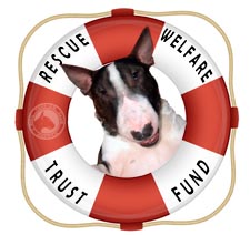 rescue perserver donationpage